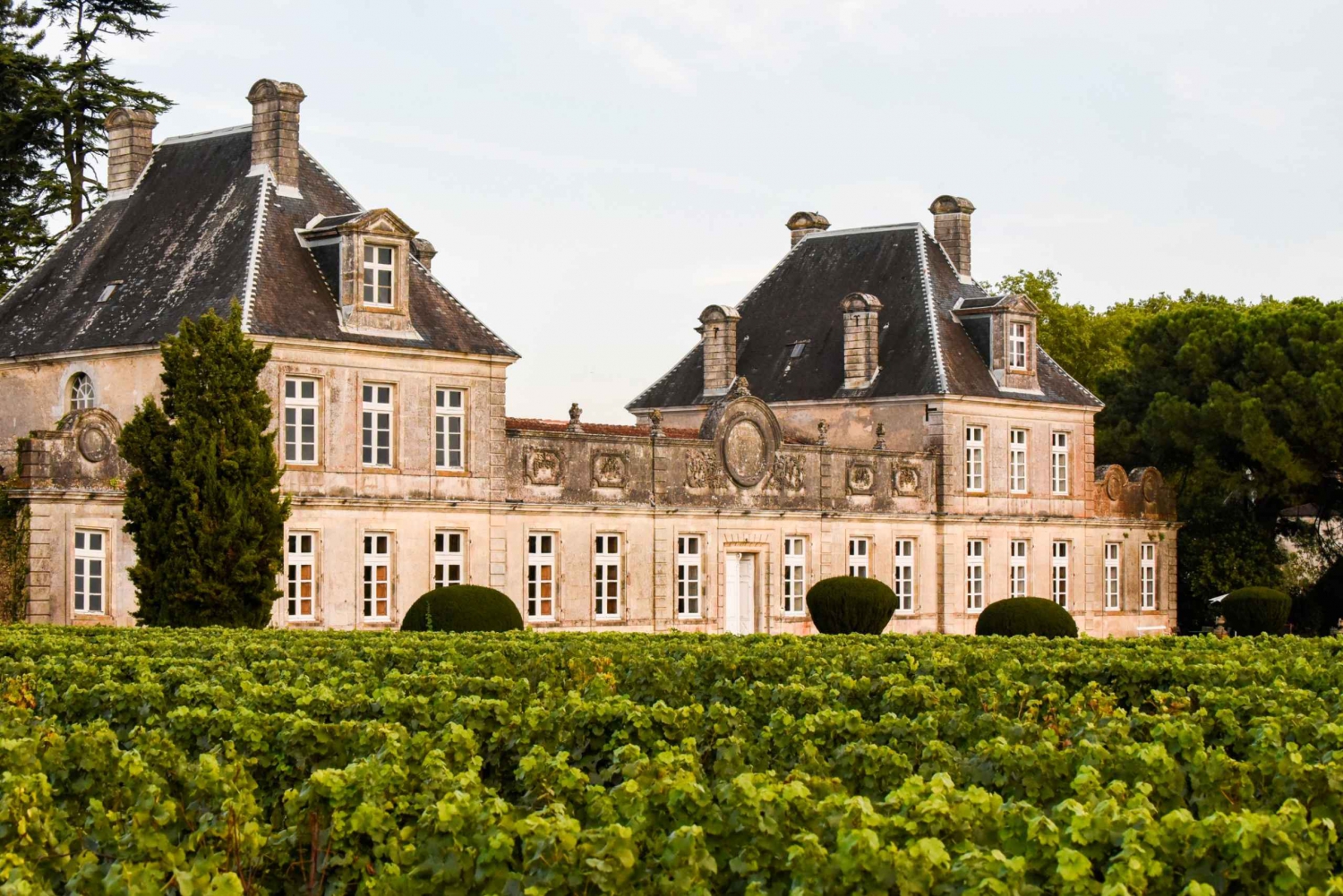 Bordeaux: Wine Country Vineyards Tour w/ Local Wine Tastings