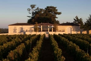 Bordeaux: Wine Country Vineyards Tour w/ Local Wine Tastings