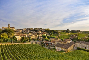 Bordeaux: Wijnroute langs wijngaarden met proeverijen van lokale wijn