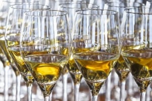 Burdeos: Crucero con degustación de vinos