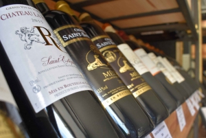 Bordeaux: Wine Tasting Workshop and Vineyard Tour