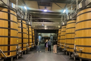 Bordeaux: Wine Tasting Workshop and Vineyard Tour