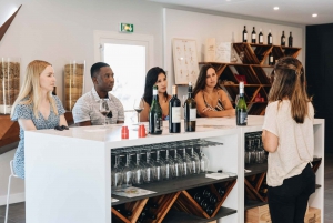 Bordeaux: Wine Tasting Masterclass with a local