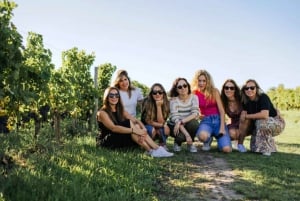 Burdeos: Ruta del Vino con Degustación