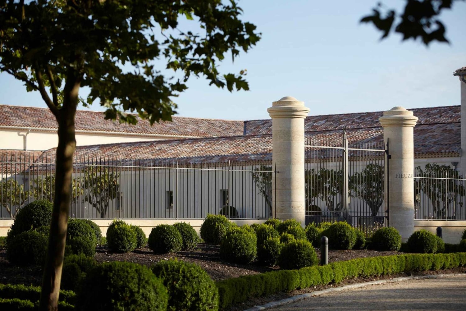 Château de Fieuzal: descubre un Grand Cru Classé familiar en pequeños grupos.