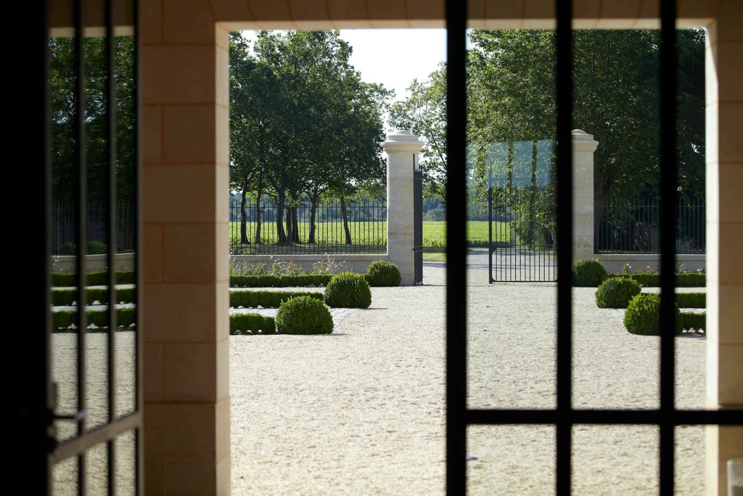 Château de Fieuzal: descubre un Grand Cru Classé familiar en pequeños grupos.