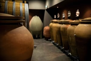 Château de Fieuzal: discover a family-owned Grand Cru Classé in a small group