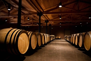 Château de Fieuzal: descubre un Grand Cru Classé familiar en pequeños grupos.