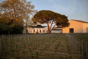Château de Fieuzal: descubre un Grand Cru Classé familiar en pequeños grupos.