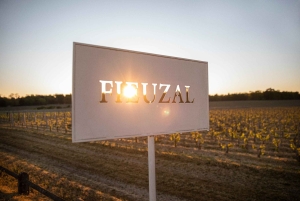 Château de Fieuzal: descubre un Grand Cru Classé familiar en pequeños grupos.