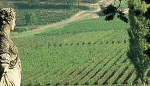 Château Faugères