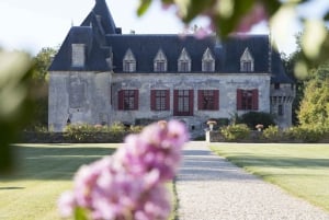 Château Olivier: One Hour Vineyard Tour with Wine Tasting