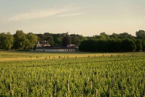 Château Olivier: One Hour Vineyard Tour with Wine Tasting