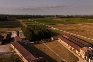 Château Olivier: Godzinna wycieczka po winnicy z degustacją wina