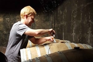 Distilleria di cognac e cantina di Bordeaux: tour privato
