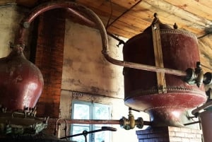Distilleria di cognac e cantina di Bordeaux: tour privato
