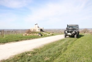 Cognac: Private half-day tour - visits and tastings - 4x4