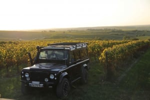 Cognac: Private half-day tour - visits and tastings - 4x4