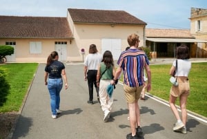 Discovery tour of Château Haut Breton Larigaudière