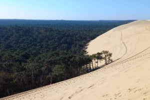 Dune du Pilat and Oysters Tasting ! What else ?