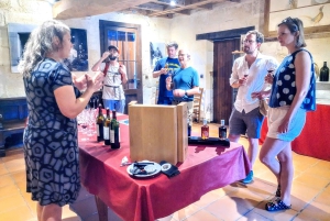 E-Bike-Tour von Bordeaux nach Saint-Émilion mit Mittagessen