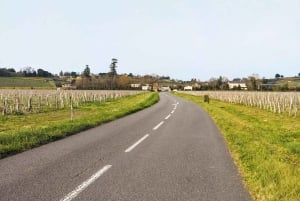 E-Bike-Tour von Bordeaux nach Saint-Émilion mit Mittagessen