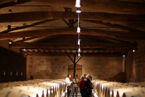 Bordeaux : Tour des régions viticoles du Médoc et de St-Emilion avec dégustations