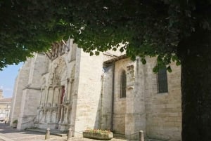 Exklusive Weintour durch die Châteaux von Saint-Émilion mit Verkostungen