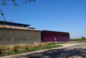 Exklusive Weintour durch die Châteaux von Saint-Émilion mit Verkostungen