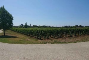 Exklusive Weintour durch die Châteaux von Saint-Émilion mit Verkostungen