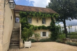 Exklusive Weintour durch die Châteaux von Saint-Émilion mit Verkostungen