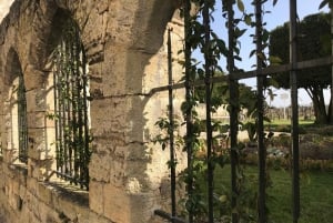 Exklusive Weintour durch die Châteaux von Saint-Émilion mit Verkostungen