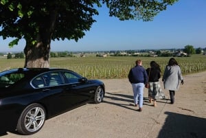 Exklusive Weintour durch die Châteaux von Saint-Émilion mit Verkostungen
