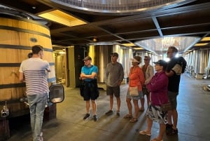 Exklusive Weintour durch die Châteaux von Saint-Émilion mit Verkostungen