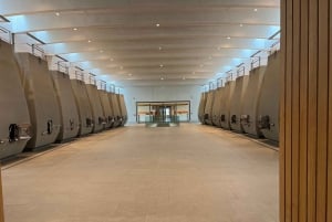 Exklusive Weintour durch die Châteaux von Saint-Émilion mit Verkostungen