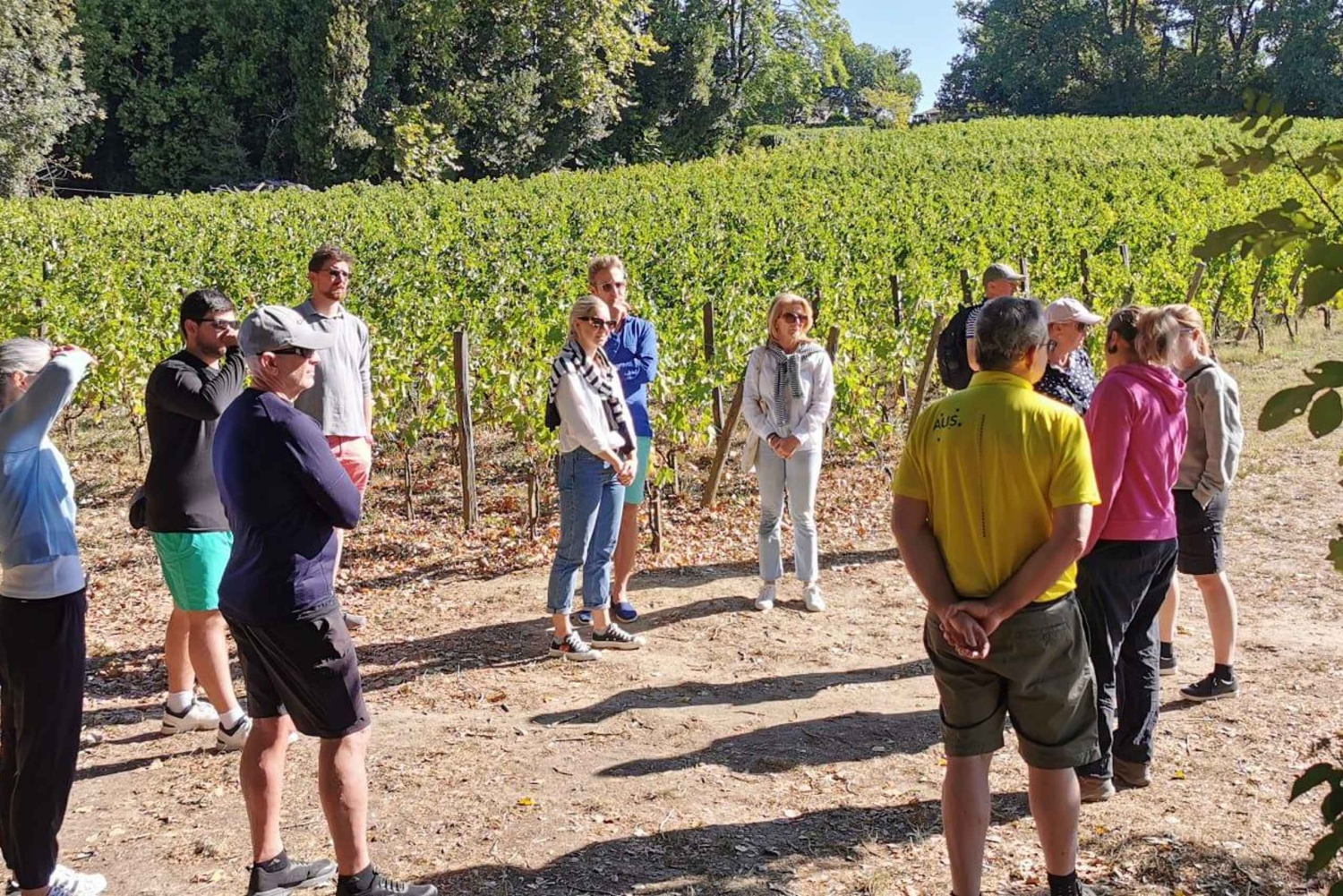 Explora Saint-Émilion em e-Bikes: Excursão em pequenos grupos, excursão de meio dia