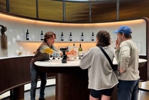 Erkunde Saint-Émilion mit dem E-Bike: Kleingruppentour, Halbtagestour