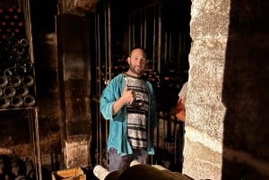 Erkunde Saint-Émilion mit dem E-Bike: Kleingruppentour, Halbtagestour