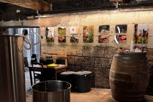 Erkunde Saint-Émilion mit dem E-Bike: Kleingruppentour, Halbtagestour