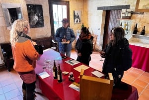 Erkunde Saint-Émilion mit dem E-Bike: Kleingruppentour, Halbtagestour