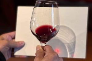 Erkunde Saint-Émilion mit dem E-Bike: Kleingruppentour, Halbtagestour