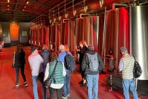 Erkunde Saint-Émilion mit dem E-Bike: Kleingruppentour, Halbtagestour