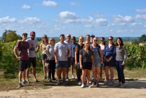 Explora Saint-Émilion em e-Bikes: Excursão em pequenos grupos, excursão de meio dia