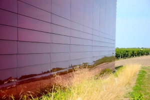 Explora Saint-Émilion em e-Bikes: Excursão em pequenos grupos, excursão de meio dia