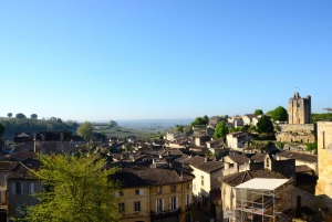 Explora Saint-Émilion em e-Bikes: Excursão em pequenos grupos, excursão de meio dia