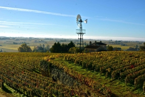 Explora Saint-Émilion em e-Bikes: Excursão em pequenos grupos, excursão de meio dia
