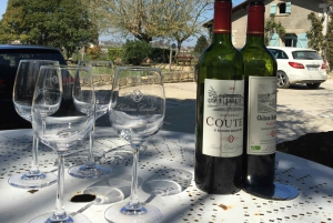 Explora Saint-Émilion em e-Bikes: Excursão em pequenos grupos, excursão de meio dia