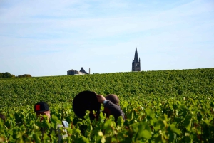 Explora Saint-Émilion em e-Bikes: Excursão em pequenos grupos, excursão de meio dia