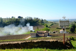 Explora Saint-Émilion em e-Bikes: Excursão em pequenos grupos, excursão de meio dia