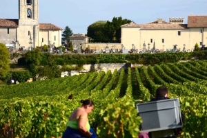 Explora Saint-Émilion em e-Bikes: Excursão em pequenos grupos, excursão de meio dia